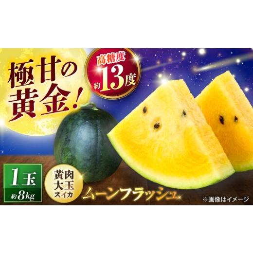 ふるさと納税 スイカ 熊本県 山鹿市 先行予約 山鹿の恵み 匠の育てたムーンフラッシュ 大玉スイカ(約8kg前後×1玉) きもと農園