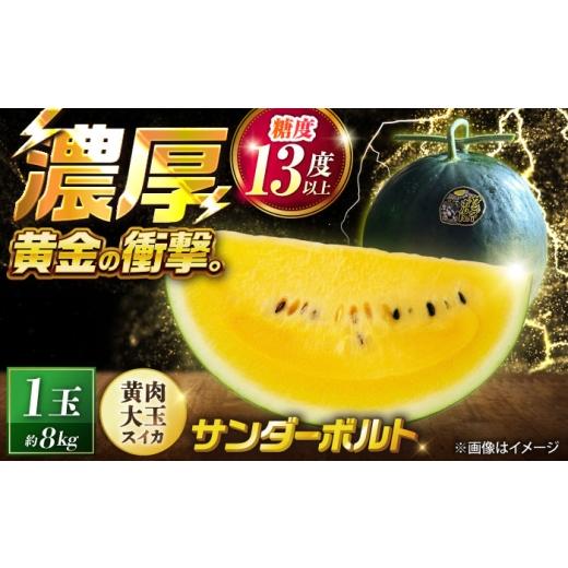 ふるさと納税 スイカ 熊本県 山鹿市 先行予約 山鹿の恵み 匠の育てたサンダーボルト 大玉スイカ(約8kg前後×1玉) きもと農園