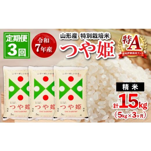 ふるさと納税 米 つや姫 山形県 山形市 約2週間〜1ヶ月以内発送 定期便3回 令和7年産 山形産 特別栽培米 つや姫 5kg×3ヶ月(計15kg) FY25-486 2週間〜1ヶ月以…
