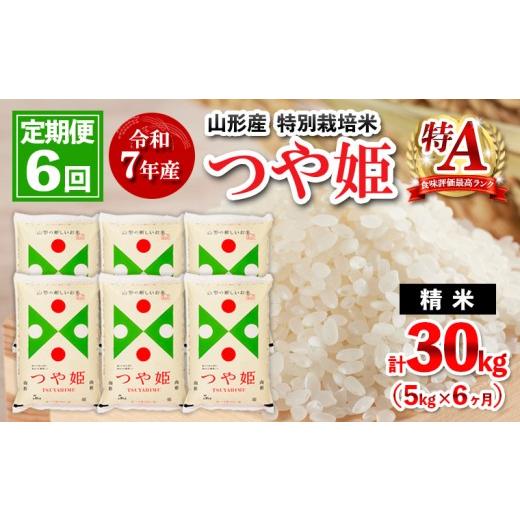 ふるさと納税 米 つや姫 山形県 山形市 約2週間〜1ヶ月以内発送 定期便6回 先行予約 令和7年産 山形産 特別栽培米 つや姫 5kg×6ケ月(計30kg) FY25-487 2週間…