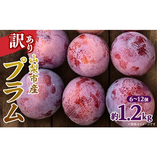 ふるさと納税 果物類 山梨県 山梨市 先行受付 訳ありプラム(すもも) 約1.2kg(6〜12個) 1714479