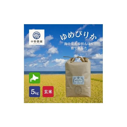 ふるさと納税 玄米 北海道 島牧村 ゆめぴりか 玄米5kg 2025年産 1719884