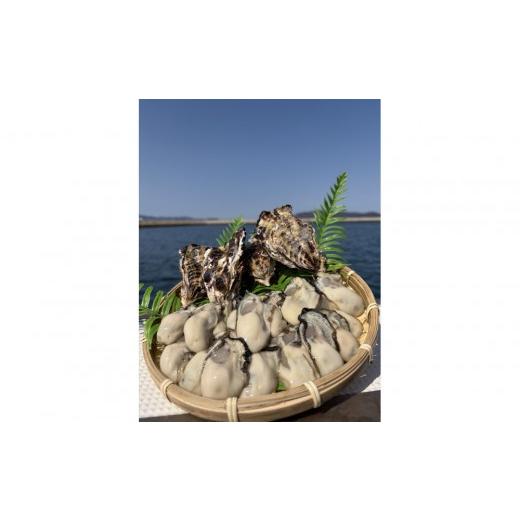 ふるさと納税 牡蠣 生牡蠣 香川県 高松市 加熱用 殻付き牡蛎1kg