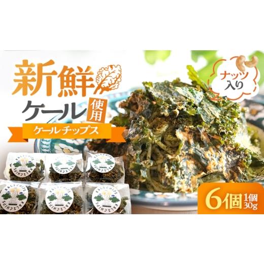 ふるさと納税 スナック・駄菓子 福井県 小浜市 ケールチップス CafeSeasons 手作り 国産ケール使用 カシューナッツとスパイス仕立て / ヘルシー おやつ プラ…