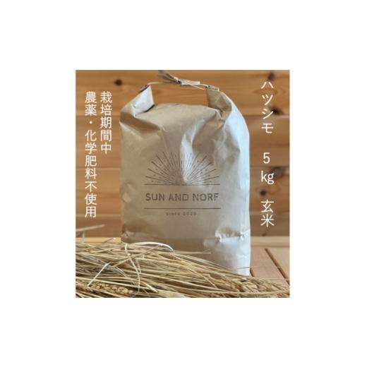 ふるさと納税 玄米 岐阜県 養老町 令和7年産 初霜(源種) 玄米5kg (栽培期間中農薬・化学肥料不使用) 1721458