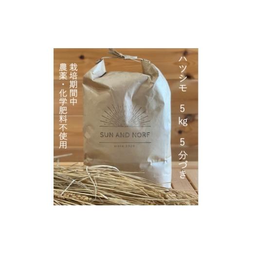 ふるさと納税 米 岐阜県 養老町 令和7年産 初霜(源種)5分づき5kg (栽培期間中農薬・化学肥料不使用) 1721465