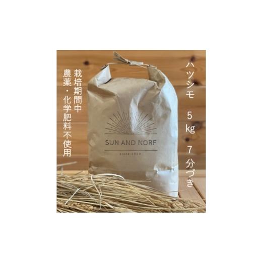 ふるさと納税 米 岐阜県 養老町 令和7年産 初霜(源種) 7分づき5kg (栽培期間中農薬・化学肥料不使用) 1721470