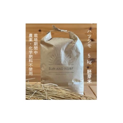 ふるさと納税 米 岐阜県 養老町 令和7年産 初霜(源種)胚芽米5kg (栽培期間中農薬・化学肥料不使用) 1721478