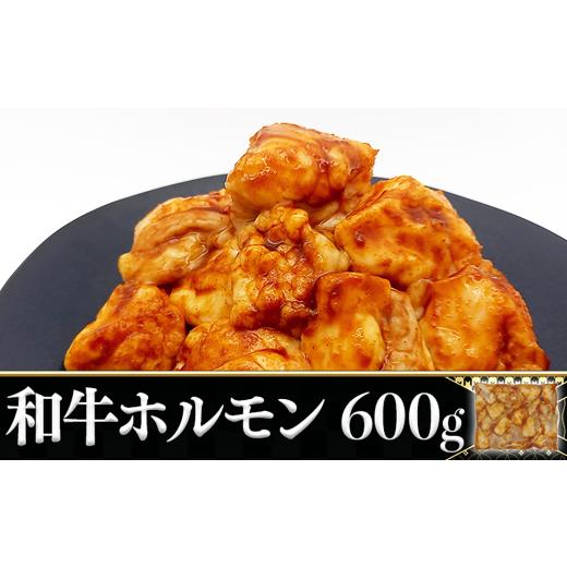 ふるさと納税 牛肉 ホルモン 岩手県 一関市 岩手県産国産牛 和牛ホルモン 600g 肉 ブランド牛 和牛 国産牛 ギフト お取り寄せ BBQ バーベキュー