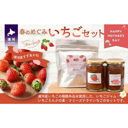 ふるさと納税 いちご 北海道 浦河町 母の日対応 べてるの家の「いちごセット」