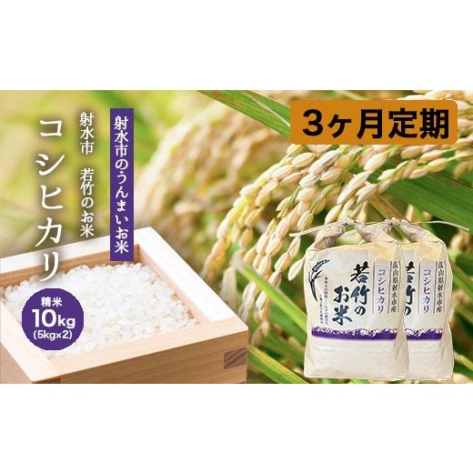 ふるさと納税 米 コシヒカリ 富山県 射水市 3ヶ月定期便 射水市 射水の美味しいお米 若竹のお米 R8年度産コシヒカリ10kg(5kg×2) | 米 こめ コメ こしひか…