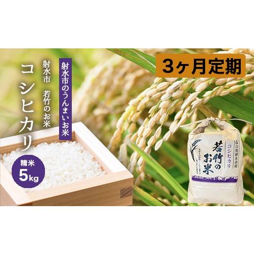 ふるさと納税 米 コシヒカリ 富山県 射水市 3ヶ月定期便 射水市 射水の美味しいお米 若竹のお米 R8年度産コシヒカリ5kg | 米 こめ コメ こしひかり 先行予約 …