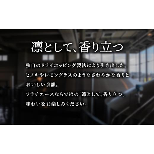 ふるさと納税 ビール 北海道 上富良野町  隔月4回定期便 北海道 上富良野町発祥 伝説のホップ SORACHI 1984 350ml×24缶 ソラチエース使用 サッポロ ビール ク…の画像