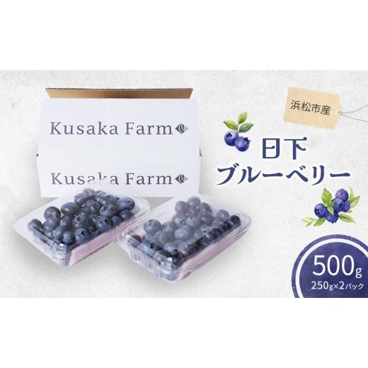 ふるさと納税 果物類 静岡県 浜松市 浜松市産日下ブルーベリー500g(250g×2パック) 配送不可:離島 果物 くだもの フルーツ ブルーベリー 日下農園 大粒 完…