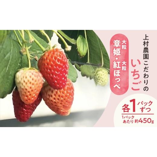 ふるさと納税 いちご 静岡県 浜松市 上村農園 こだわりのいちご 大粒章姫・大粒紅ほっぺ 各1パックずつ (1パックあたり約450g) イチゴ あまい おいしい 静岡 …