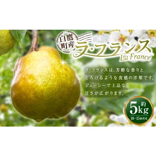 ふるさと納税 梨 山形県 白鷹町 白鷹町産ラ・フランス5kg 洋梨 フルーツ 果物 果実 ラ・フランス 芳醇 香り 食感 ジューシー 上品 甘さ 山形県 白鷹町 2026年1…
