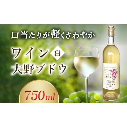ふるさと納税 ワイン 白ワイン 大阪府 大阪狭山市 ワイン 大野ぶどう / 白ワイン 国産ワイン デラウエアワイン 日本ワイン 甘口ワイン フルーティーワイン 軽…