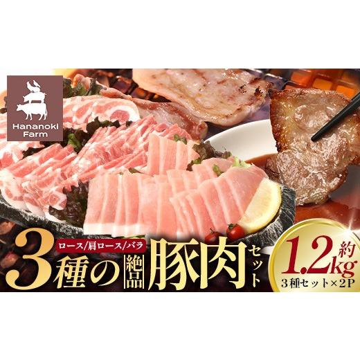 ふるさと納税 肉 ハム 鹿児島県 南大隅町 3種の絶品豚肉セット(ロース・肩ロース・豚バラ)約1,200g HK-29│ 豚 ぶた 肉 焼肉 食べ比べ 厳選 ロース 肩ロー…