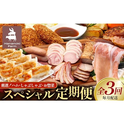 ふるさと納税 肉 ハム 鹿児島県 南大隅町 全3回定期便 厳選 花の木農場スペシャル定期便 HK-26 │ 定期便 ハム ベーコン クラフトハム 人気 豚肉 しゃぶしゃ…