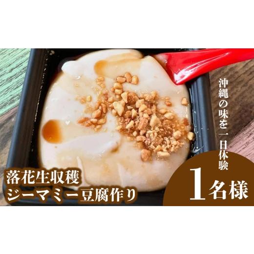 ふるさと納税 加工品等 豆腐 沖縄県 名護市 沖縄の味を一日体験 <落花生収穫〜ジーマミー豆腐作り>1名様 一日体験 郷土料理 手作り体験 豆腐作り 収穫体…