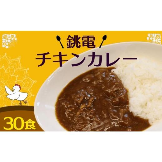 ふるさと納税 加工品等 レトルト 千葉県 銚子市 銚電 チキンカレー 30食 銚子電気鉄道 レトルトカレー 銚子電鉄 カレー チキン レトルト ご当地カレー 特産 特…