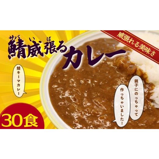 ふるさと納税 加工品等 レトルト 千葉県 銚子市 銚電 鯖威張るカレー 30食 銚子電気鉄道 レトルトカレー 銚子電鉄 カレー 鯖 さば レトルト ご当地カレー 特産…