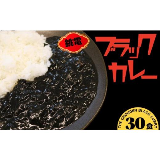 ふるさと納税 加工品等 レトルト 千葉県 銚子市 銚電 ブラックカレー 30食 銚子電気鉄道 レトルトカレー 銚子電鉄 カレー ポーク レトルト ご当地カレー 特産 …