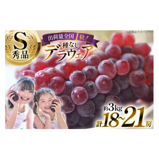 ふるさと納税 果物類 ぶどう 山形県 高畠町 期間限定発送 ぶどう デラウェア 秀品 18〜21房 約3kg 治右衛門果樹園 山形県 高畠町 tk06ays830020 種無し ブド…