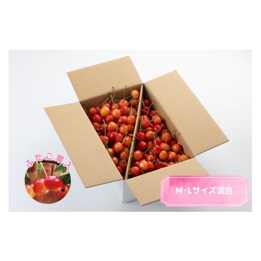 ふるさと納税 果物類 さくらんぼ 山形県 天童市 08-03-113 ワケありさくらんぼ1kg