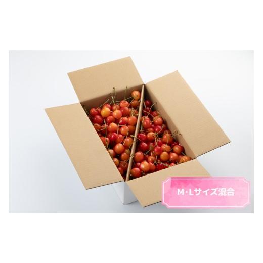 ふるさと納税 果物類 さくらんぼ 山形県 天童市 08-03-114 ご家庭用さくらんぼ1kg