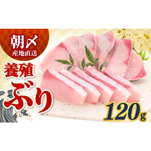 ふるさと納税 寿司 高知県 宿毛市 ぶり 120g 冷蔵 サンライズファーム 約120g(7,000円)