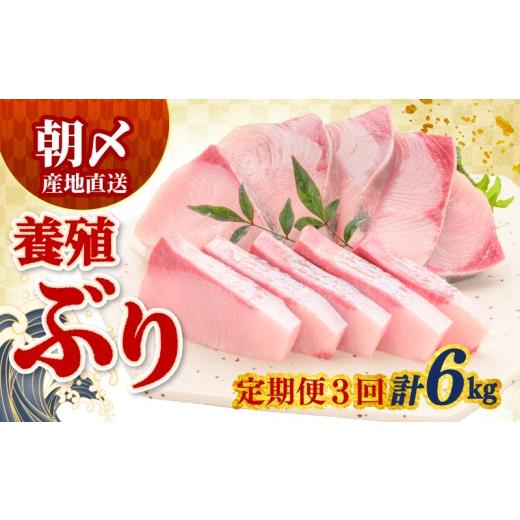 ふるさと納税 寿司 高知県 宿毛市 定期便 ぶり 2kg × 3回 冷蔵 サンライズファーム 合計6kg(約2kg × 3回) (120,000円)