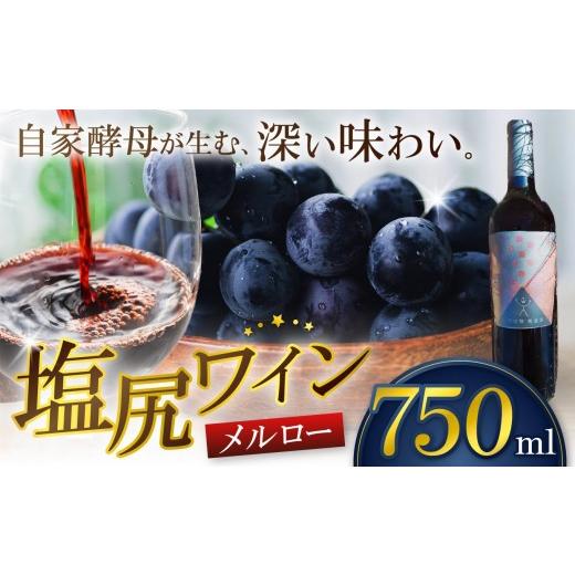 ふるさと納税 ワイン 赤ワイン 長野県 塩尻市 霧訪山シードル 塩尻市産 メルロー | 塩尻ワイン ワイン 赤 メルロー 霧訪山シードル 無添加 無濾過 酒 長野県 …