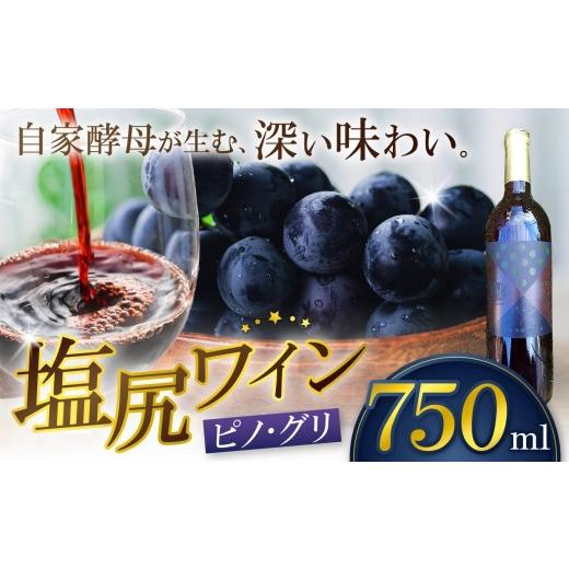 ふるさと納税 ワイン 赤ワイン 長野県 塩尻市 霧訪山シードル 塩尻市産 ピノ・グリ | 塩尻ワイン ワイン 赤 ピノ・グリ 霧訪山シードル 無添加 無濾過 酒 長野…