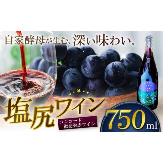 ふるさと納税 ワイン 赤ワイン 長野県 塩尻市 霧訪山シードル 塩尻市産コンコード100% 赤微発泡 | 塩尻ワイン ワイン コンコード 微発砲 霧訪山シードル 無添…