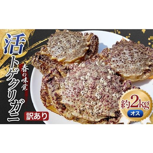 ふるさと納税 カニ 青森県 平内町 訳あり 春の味覚 活トゲクリガニ(オス) 約2kg (6〜10杯) 太平丸 漁師直送 かに カニ 蟹 海の幸 産地直送 珍味 海産物 贈り…