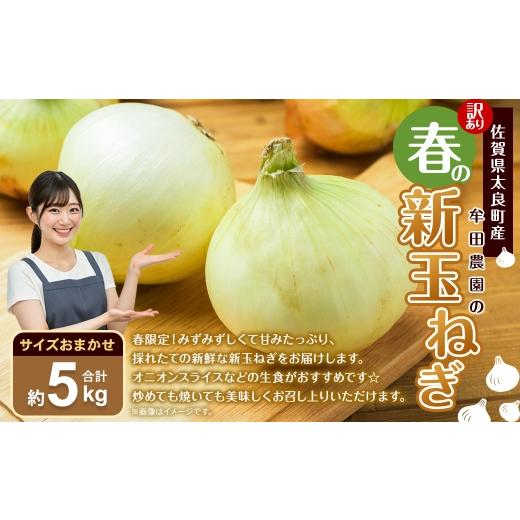 ふるさと納税 野菜類 玉ねぎ 佐賀県 太良町 訳あり 佐賀県太良町産 〜 牟田農園の春の新玉ねぎ 5kg ( サイズおまかせ ) 野菜 やさい 玉ねぎ 季節 春 新玉 …