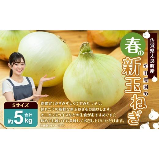ふるさと納税 野菜類 玉ねぎ 佐賀県 太良町 佐賀県太良町産 〜 牟田農園の春の新玉ねぎ 5kg ( S ) 野菜 やさい 玉ねぎ 季節 春 新玉 オニオン オニオンスラ…