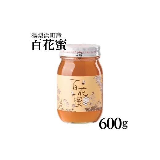 ふるさと納税 加工品等 はちみつ 鳥取県 湯梨浜町 133M.湯梨浜町産 百花蜜600g
