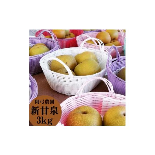 ふるさと納税 梨 鳥取県 湯梨浜町 202M. 阿弓農園 新甘泉3kg