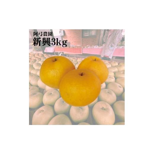 ふるさと納税 梨 鳥取県 湯梨浜町 212M. 阿弓農園 新興3kg