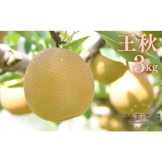 ふるさと納税 梨 鳥取県 湯梨浜町 213M.湯梨浜東郷産 王秋 3kg