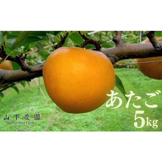 ふるさと納税 梨 鳥取県 湯梨浜町 218M.湯梨浜東郷産 あたご梨 5kg