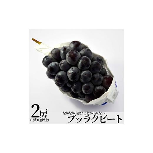 ふるさと納税 ぶどう 巨峰 鳥取県 湯梨浜町 221M. 小林農園 ブラックビート2房