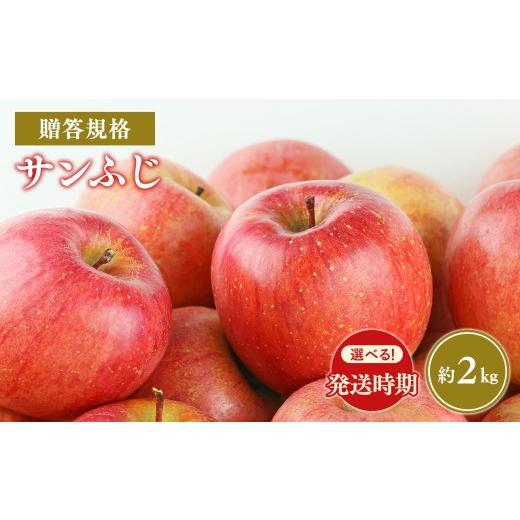ふるさと納税 りんご 青森県 平川市 令和8年産先行受付 選べる配送月 贈答規格サンふじ約2kg 青森県平川市産・青森りんご