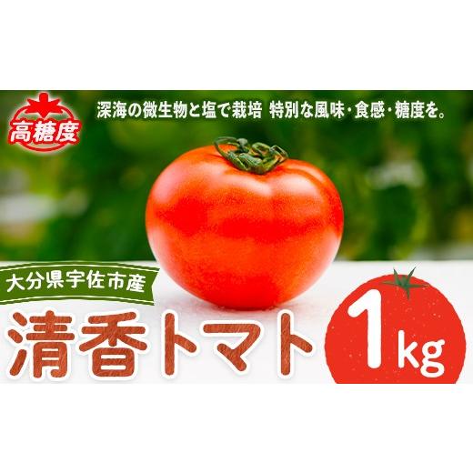 ふるさと納税 野菜類 トマト 大分県 宇佐市 先行予約受付中 4月上旬以降順次発送予定 清香トマト(1kg)トマト 高糖度 フルーツトマト 野菜 118800100 ヘリック…