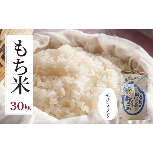 ふるさと納税 米・パン もち米 岐阜県 大垣市 ランキング1位 令和7年度産 もち米 モチミノリ 30kg 新米 餅 お餅 餅つき おこわ 赤飯 お餅 産直 産地直送 農家…