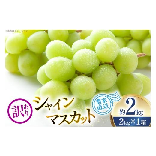 ふるさと納税 ぶどう マスカット 山形県 高畠町 期間限定発送 ぶどう 家庭用 訳あり シャインマスカット 3〜4房 約2kg 治右衛門果樹園 山形県 高畠町 tk06ays…