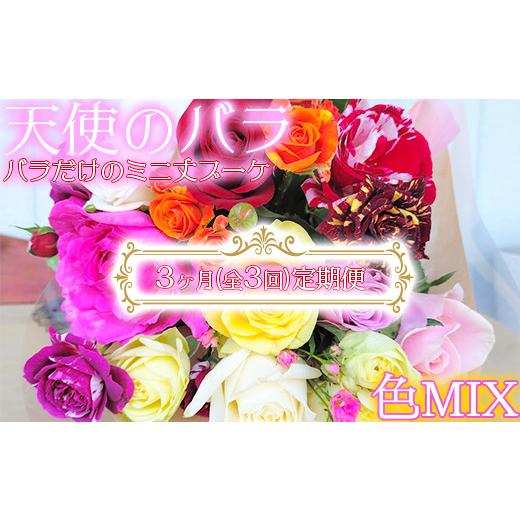 ふるさと納税 花・苗木 花束 大分県 杵築市 天使のバラ 全3回定期便 薔薇だけのミニ丈ブーケ(色MIX) 141-811_6