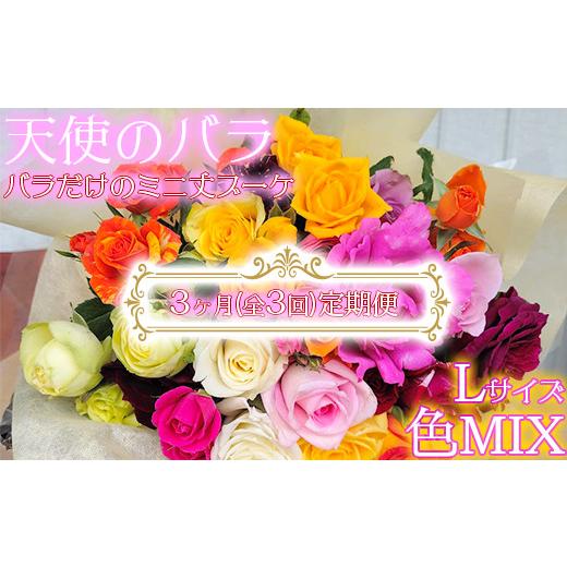 ふるさと納税 花・苗木 花束 大分県 杵築市 天使のバラ 全3回定期便 薔薇だけのミニ丈ブーケLサイズ(色MIX) 141-821_6